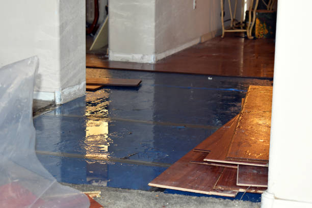 Professional Basement Flood Cleanup technician working in Winona, MN